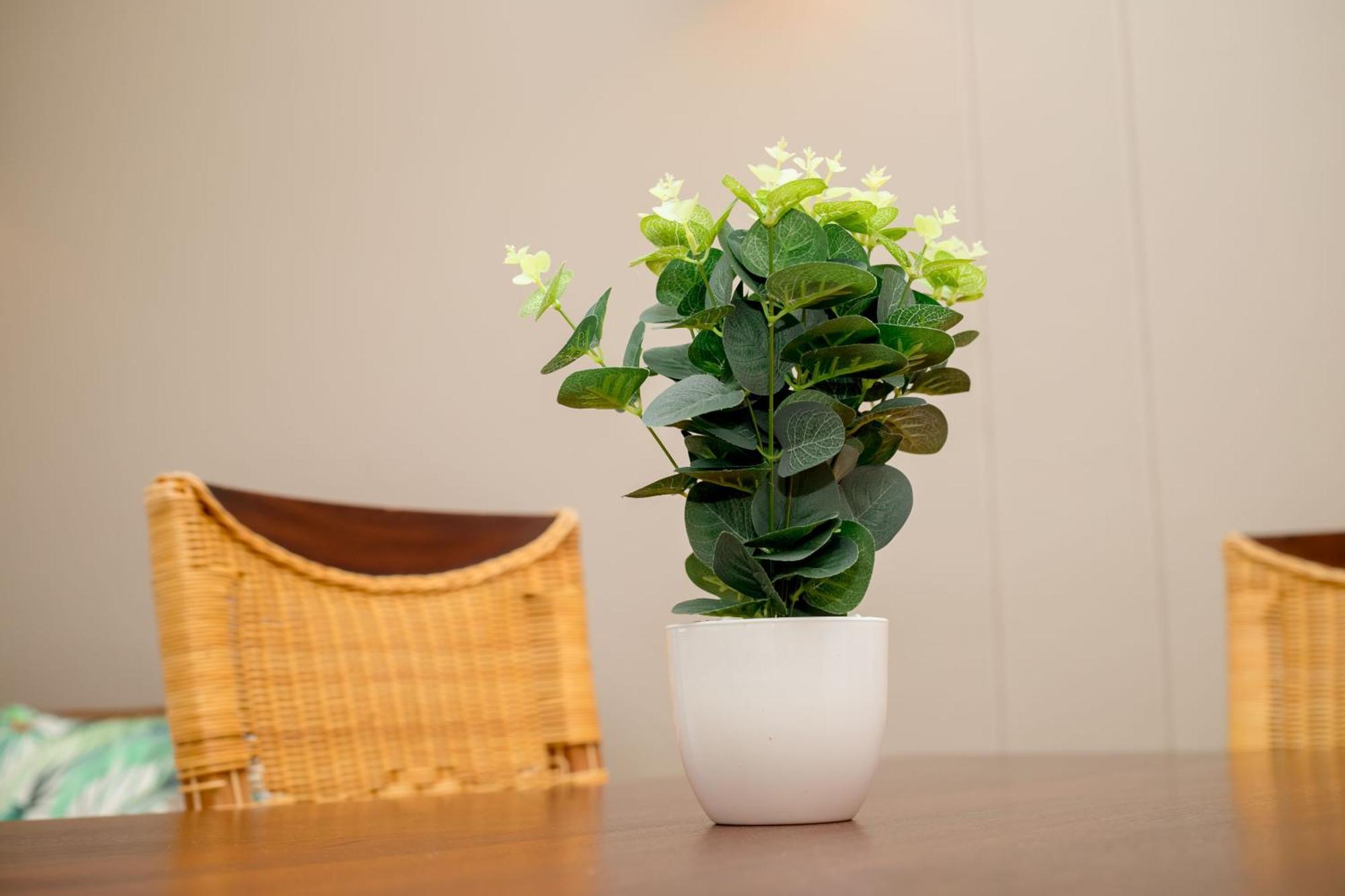 Urban Oasis Apartments At Hidas 빈트후크 외부 사진